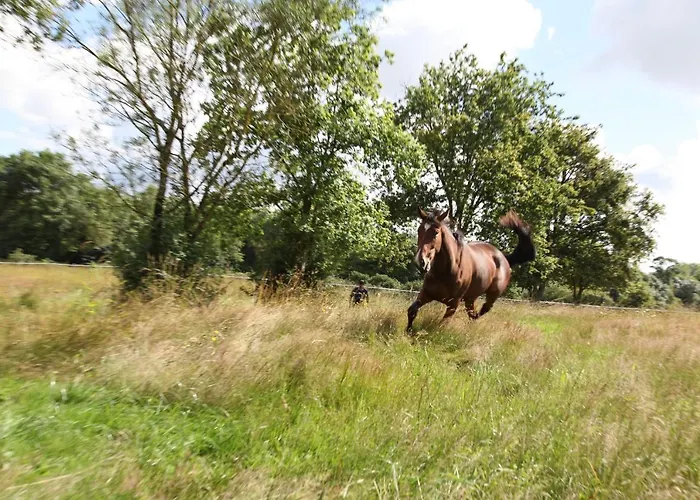 Les Granges Du Chiron 3* La Garnache